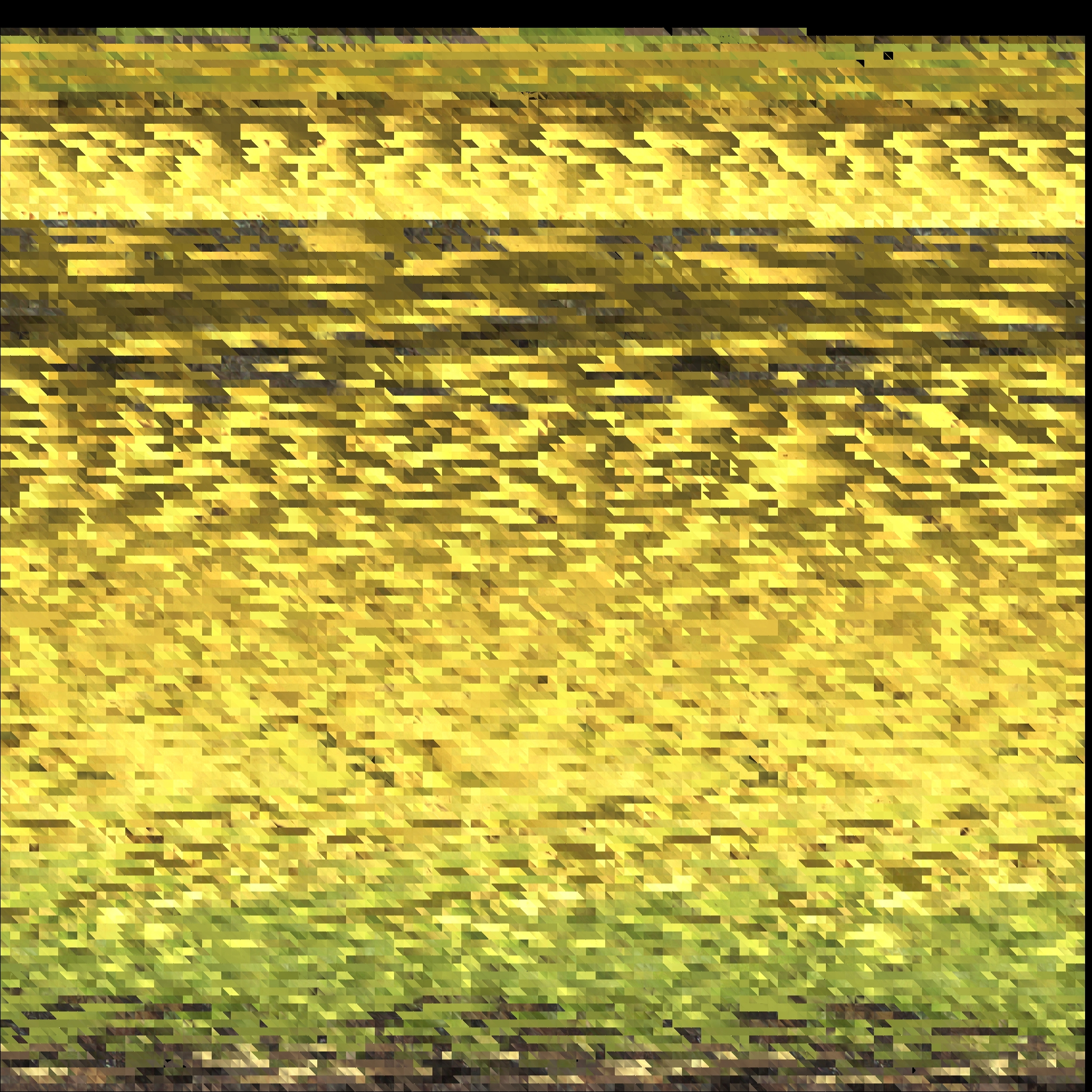 3bananas_embedded_texture.png